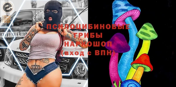 ГАЛЛЮЦИНОГЕННЫЕ ГРИБЫ Алексин