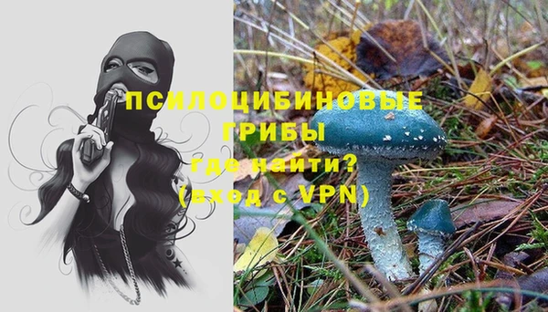ALPHA-PVP Покачи