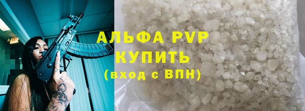 сатива Алзамай